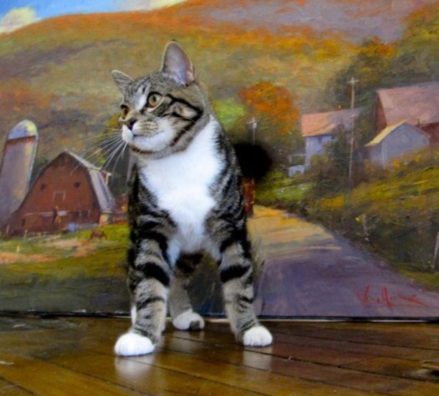 Joey the Good Cat